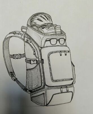 কাস্টমাইজড রঙের আউটডোর স্পোর্টস ব্যাগ শ্বাস প্রশ্বাসের কাপড়ের সাথে এবং হাইকিং এবং ক্যাম্পিংয়ের জন্য 5 টি প্রশস্ত বিভাগ